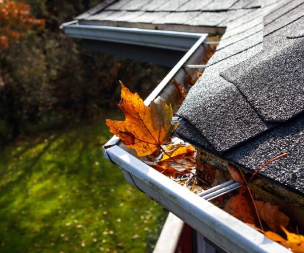 up close side view of dirty gutter with leaves and other debris in it