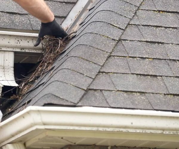 professional with black glove cleaning gutter system