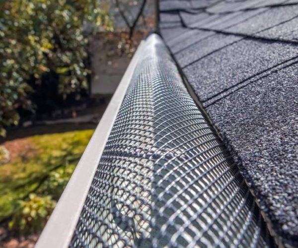 closeup of gutter guard and roof